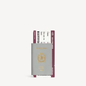 Portafoglio lungo da uomo con spazio per passaporto e 1 biglietto, grigio Balenciaga